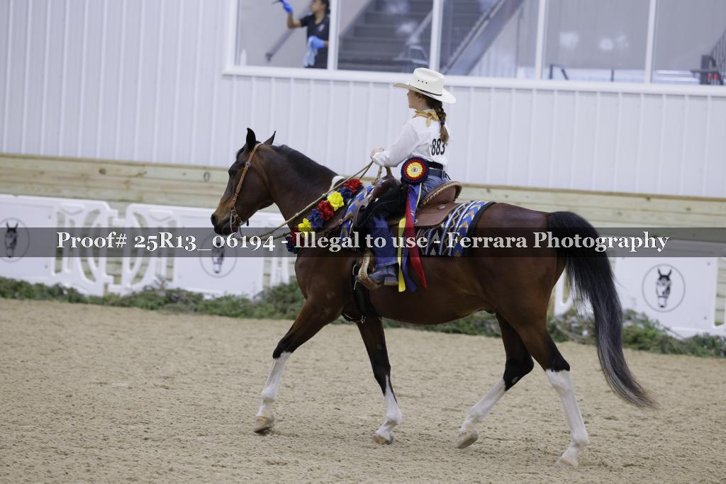 Proof 25R13_06194