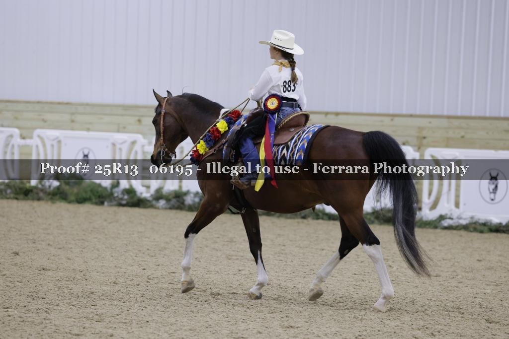 Proof 25R13_06195