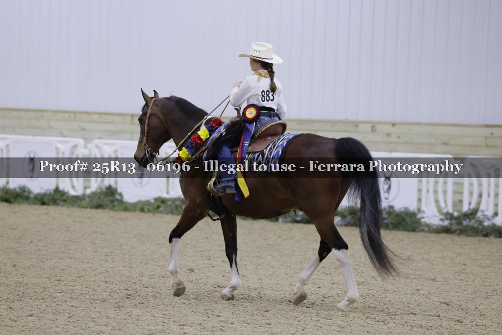 Proof 25R13_06196