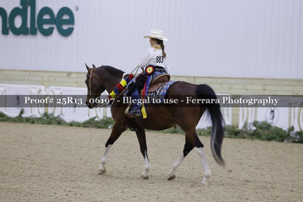 Proof 25R13_06197