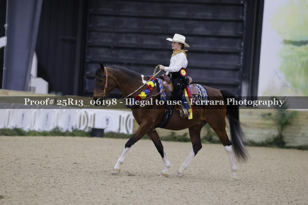 Proof 25R13_06198