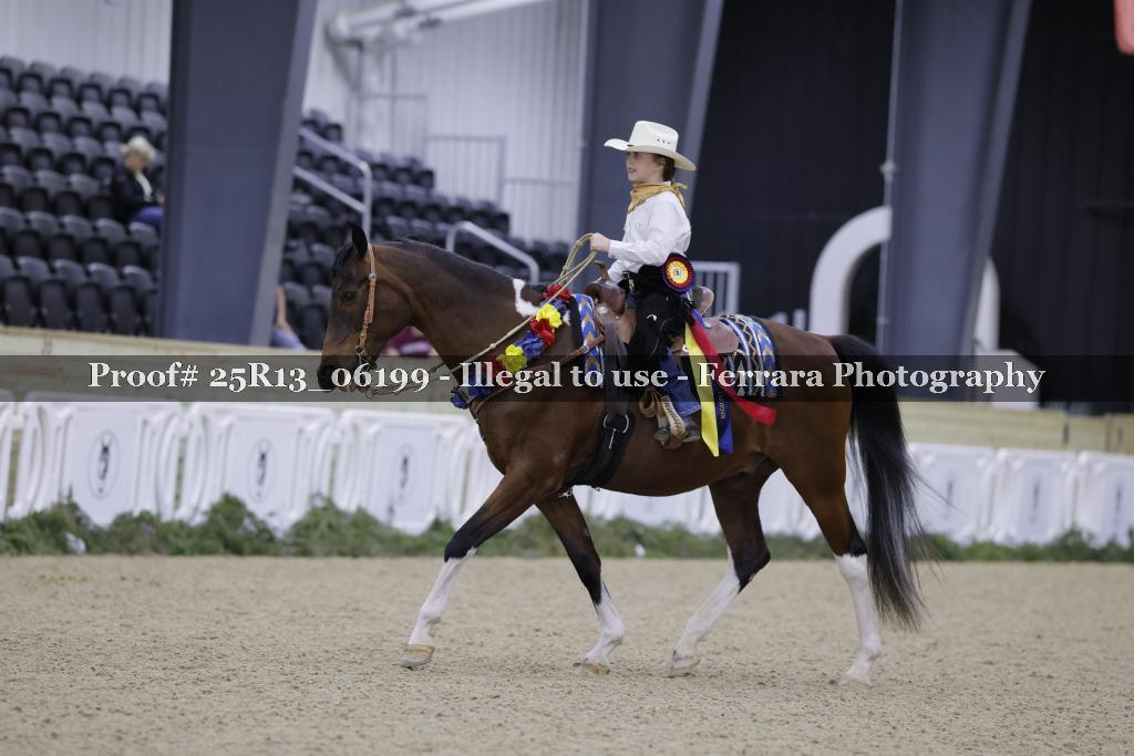 Proof 25R13_06199