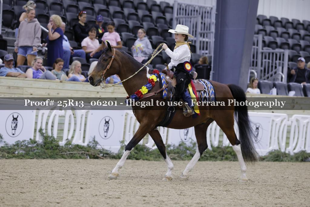 Proof 25R13_06201