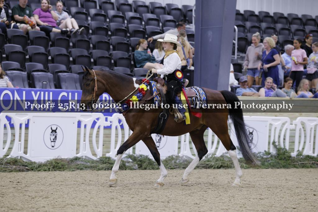 Proof 25R13_06202