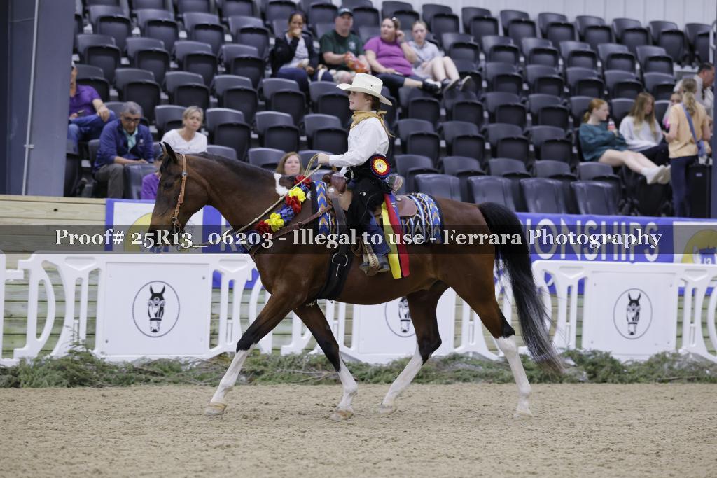 Proof 25R13_06203