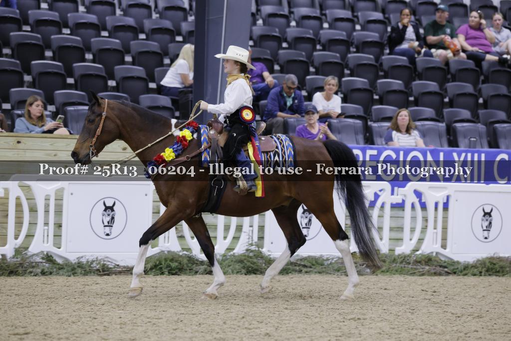 Proof 25R13_06204