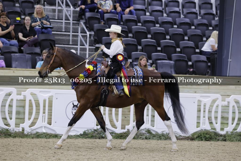 Proof 25R13_06205