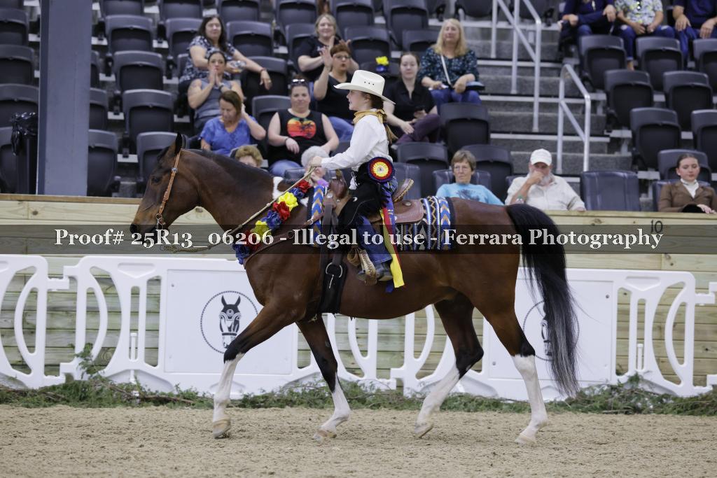 Proof 25R13_06206