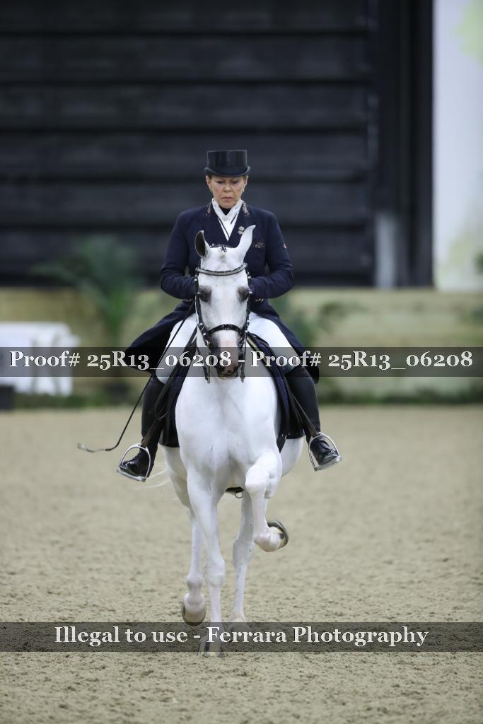 Proof 25R13_06208