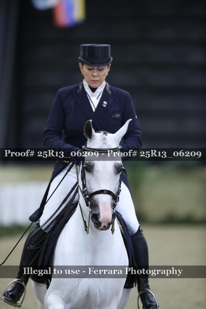 Proof 25R13_06209