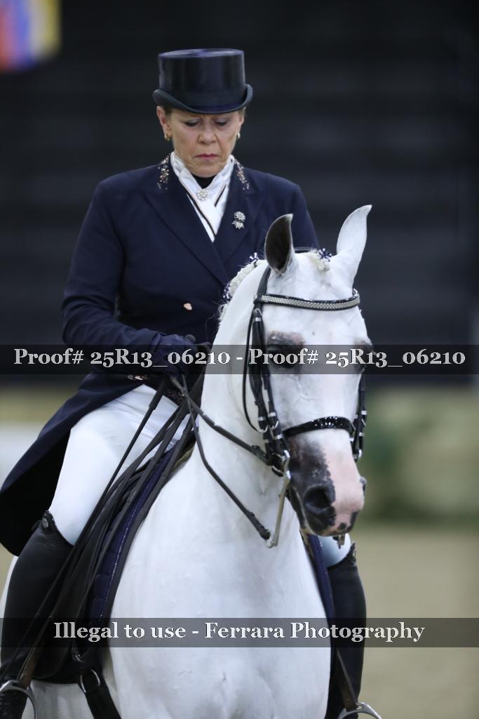 Proof 25R13_06210