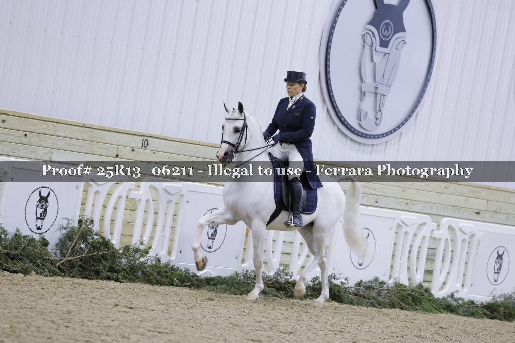 Proof 25R13_06211