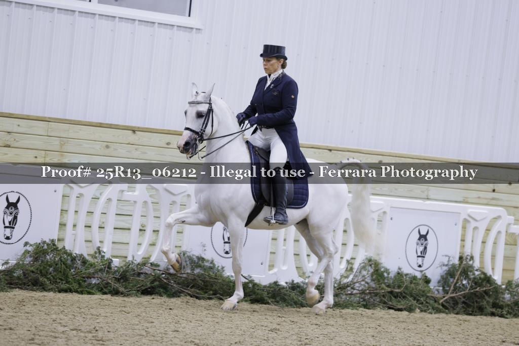 Proof 25R13_06212