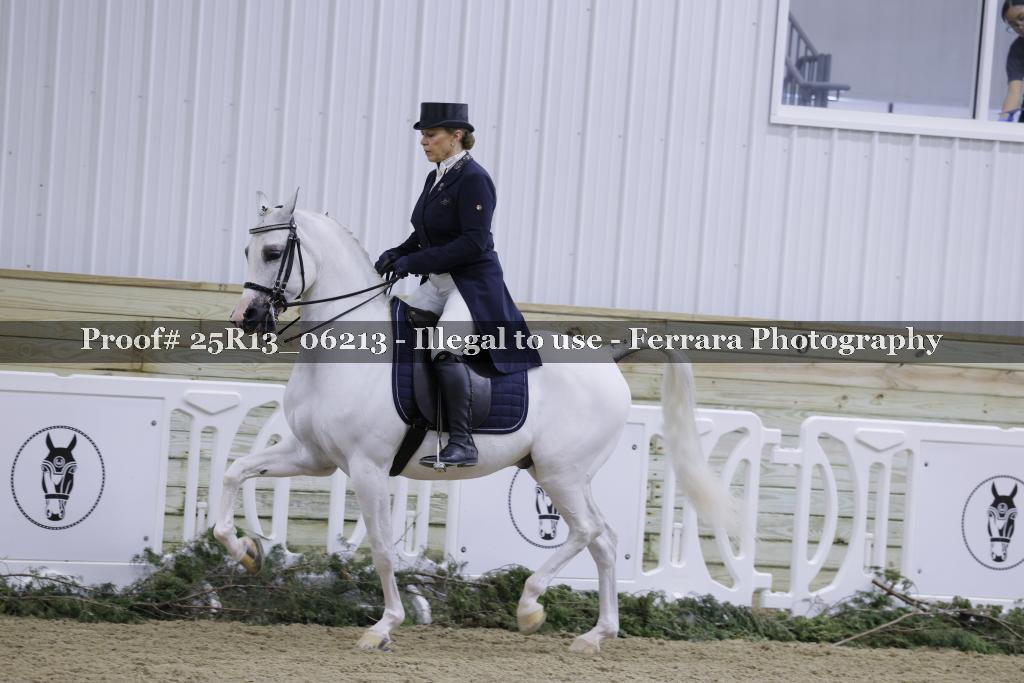 Proof 25R13_06213