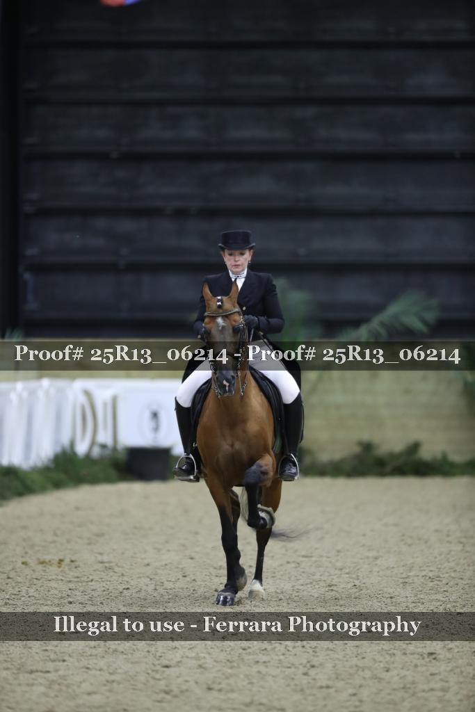 Proof 25R13_06214