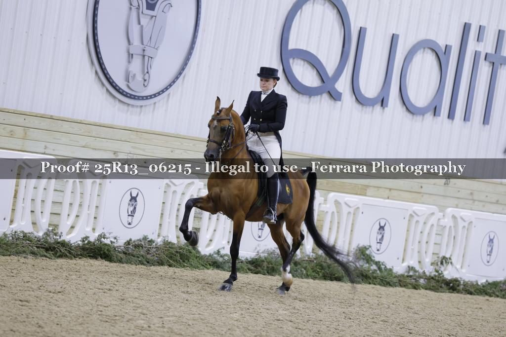 Proof 25R13_06215