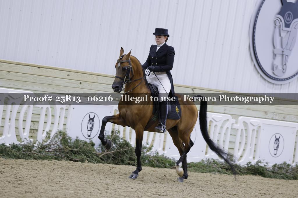 Proof 25R13_06216