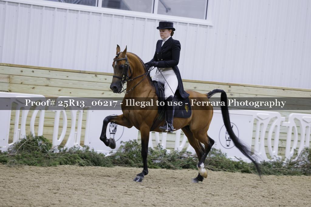 Proof 25R13_06217