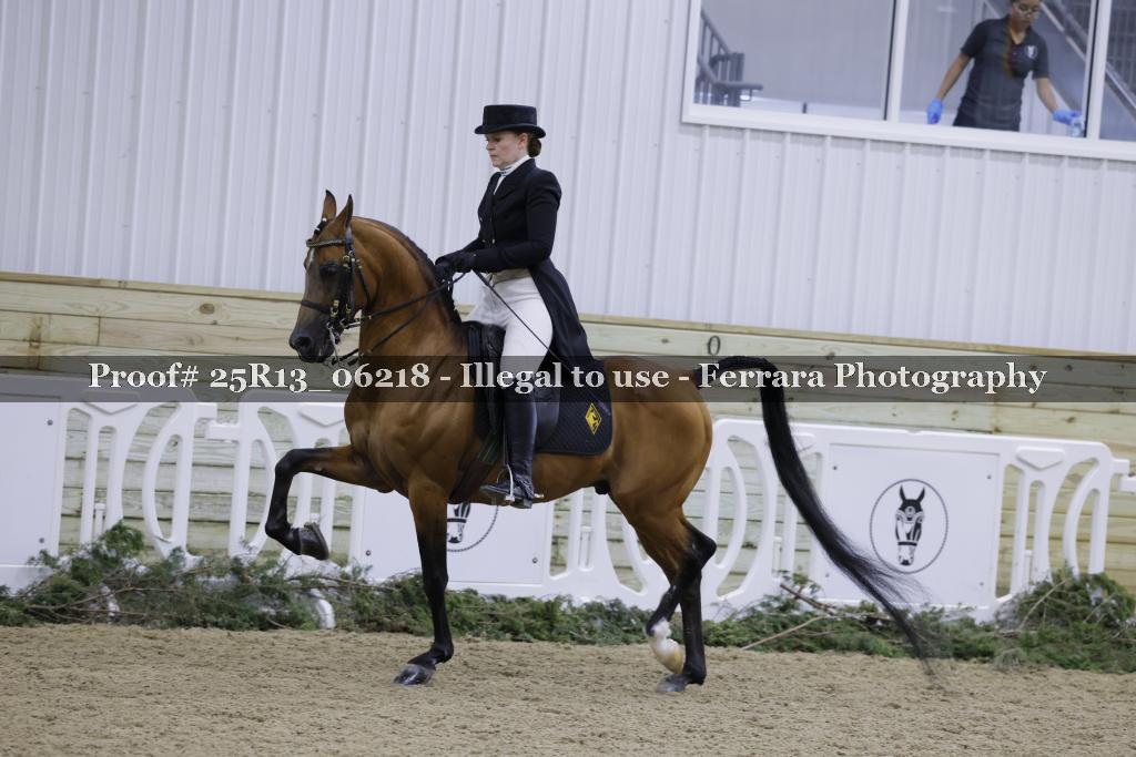 Proof 25R13_06218