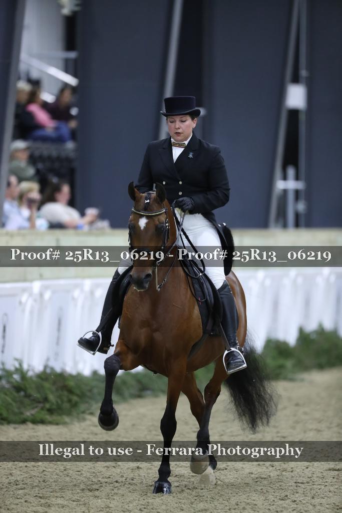 Proof 25R13_06219