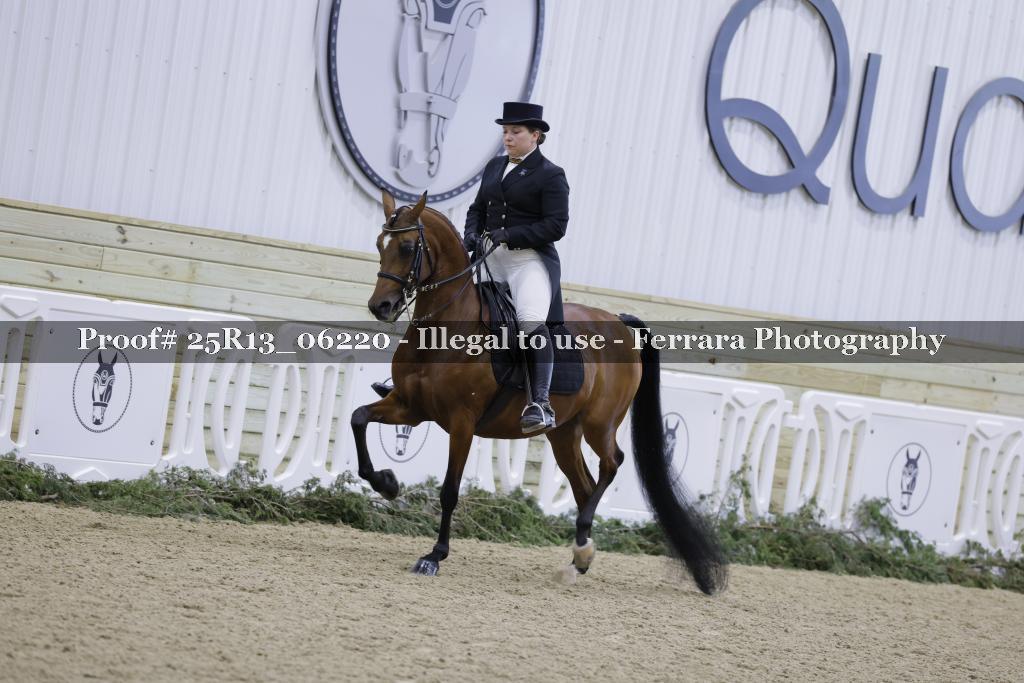 Proof 25R13_06220