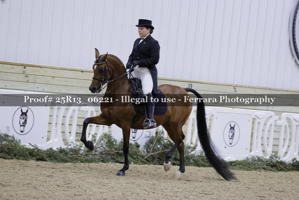 Proof 25R13_06221