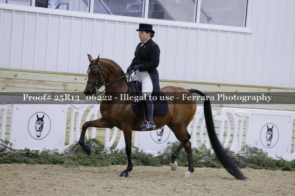 Proof 25R13_06222