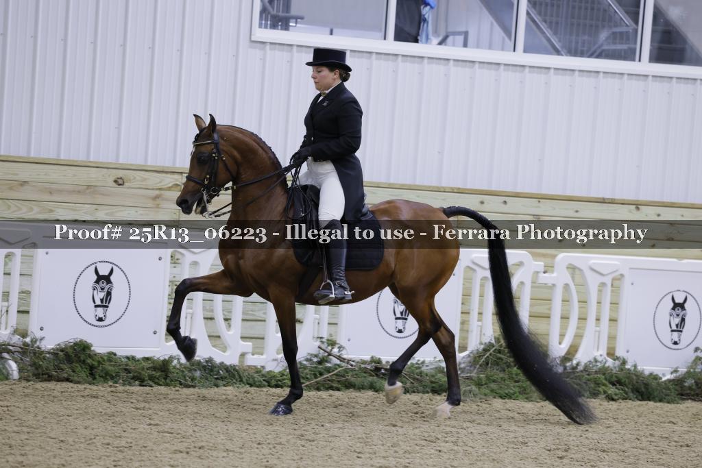 Proof 25R13_06223
