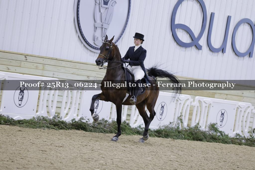 Proof 25R13_06224