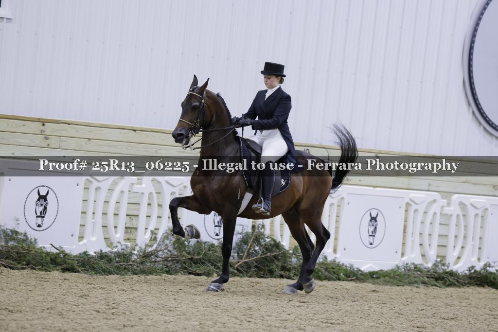 Proof 25R13_06225