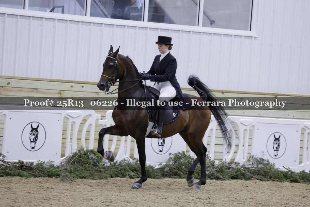 Proof 25R13_06226