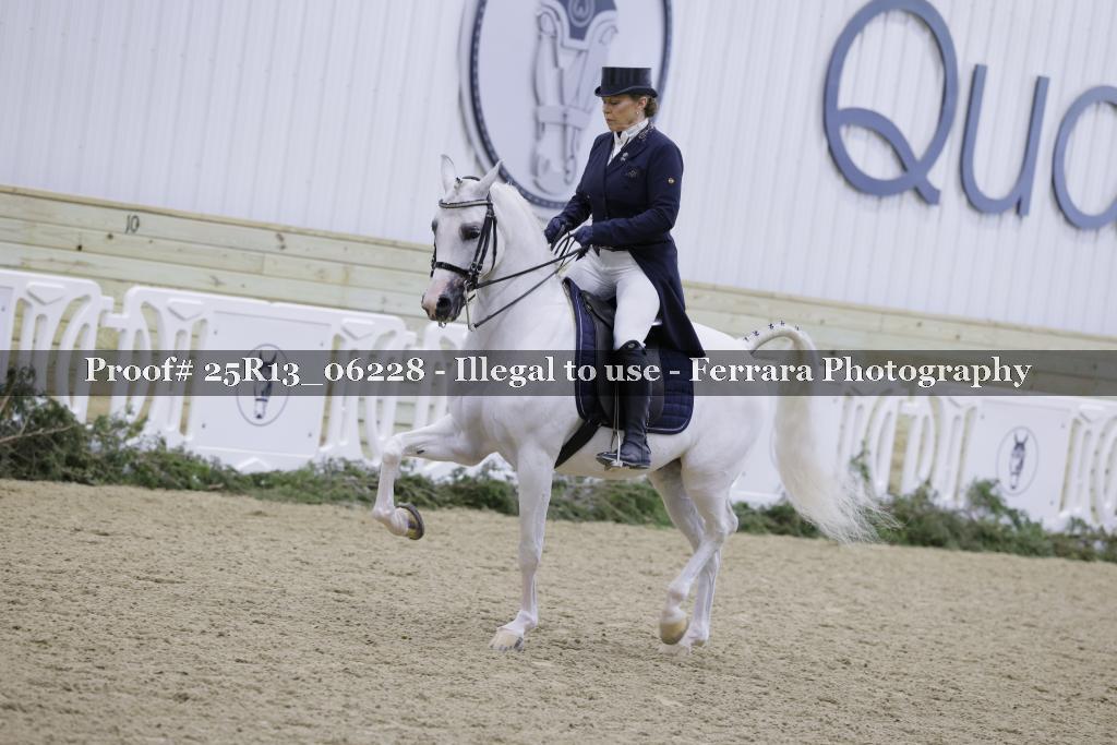 Proof 25R13_06228