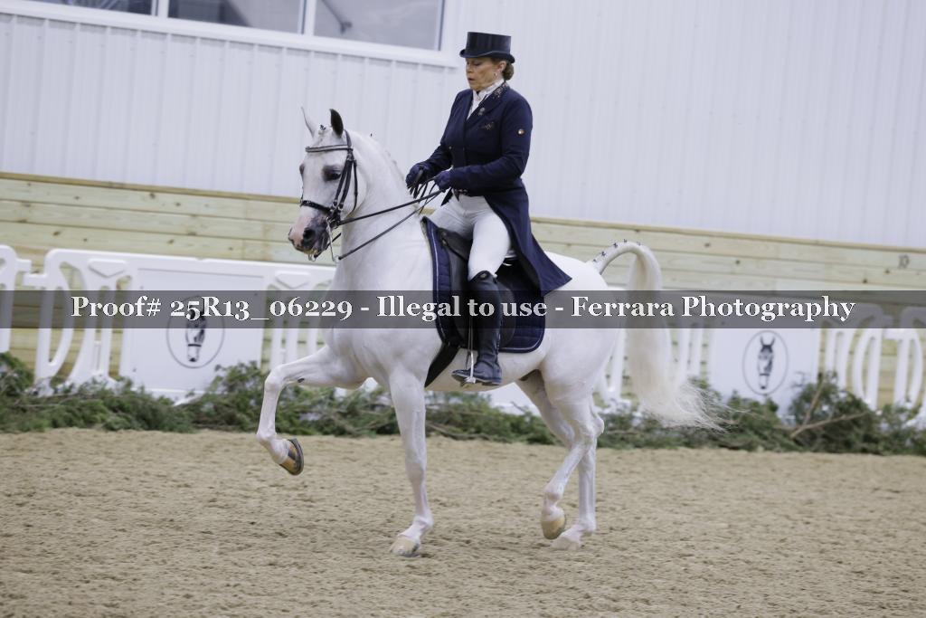Proof 25R13_06229