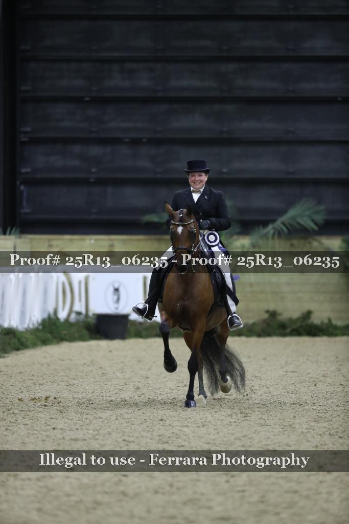 Proof 25R13_06235