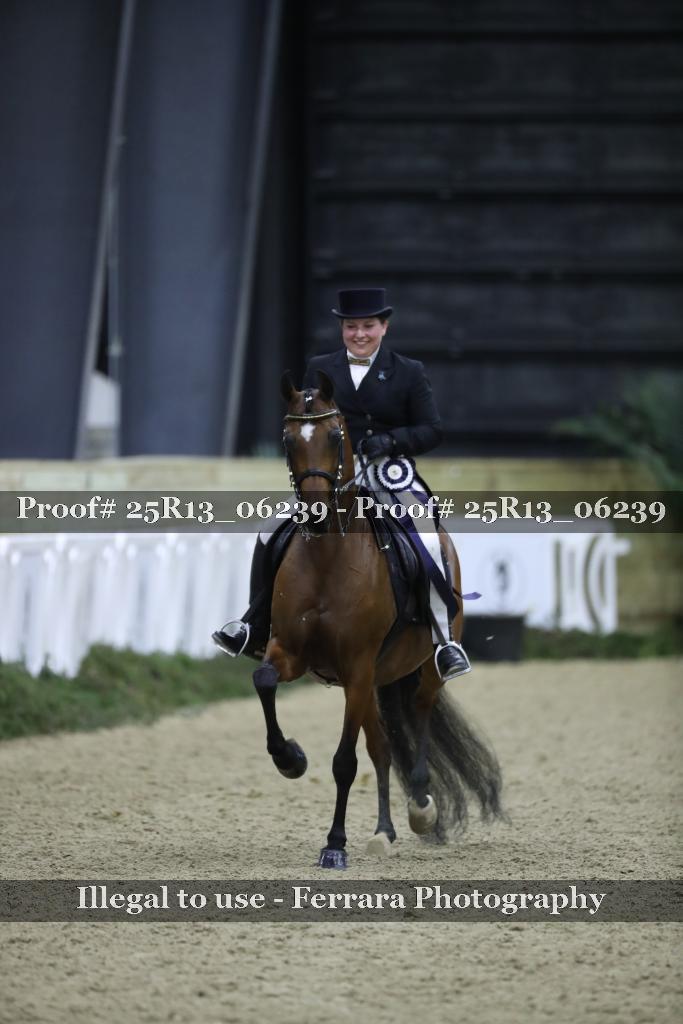 Proof 25R13_06239