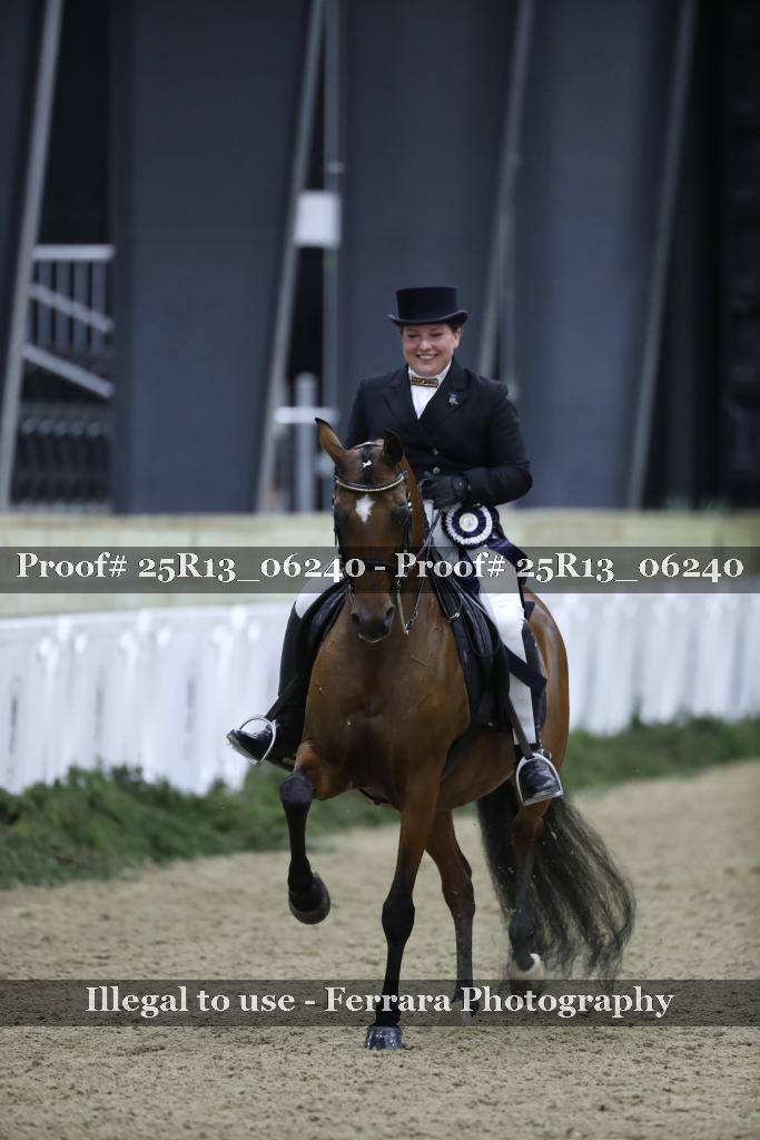 Proof 25R13_06240
