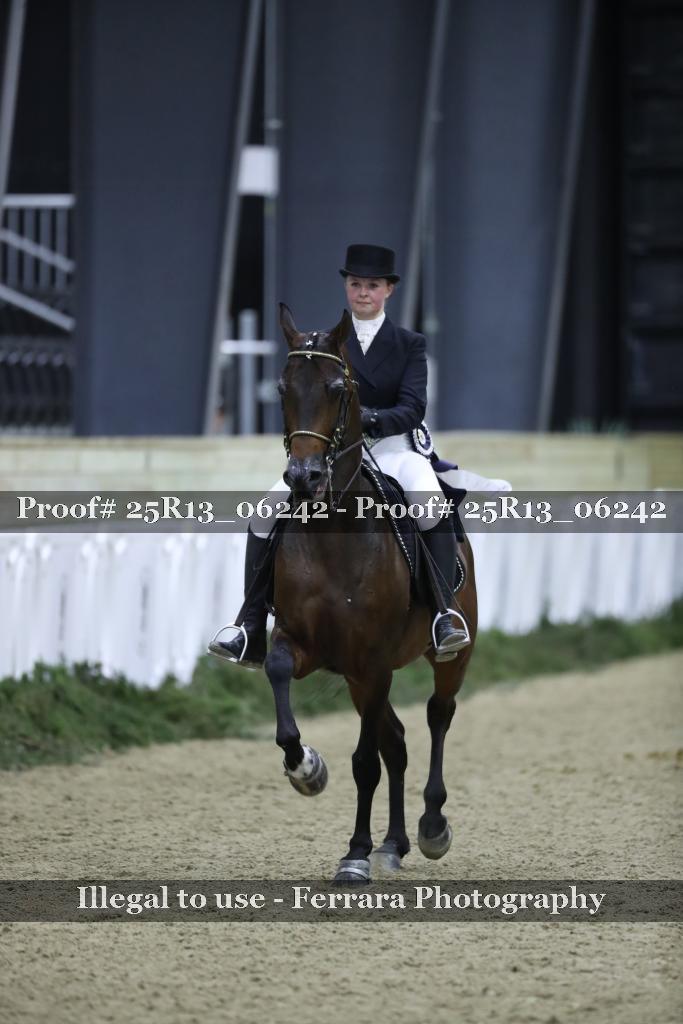 Proof 25R13_06242