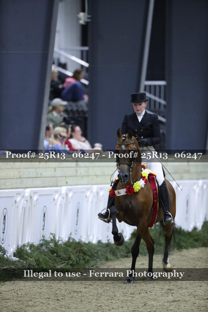 Proof 25R13_06247