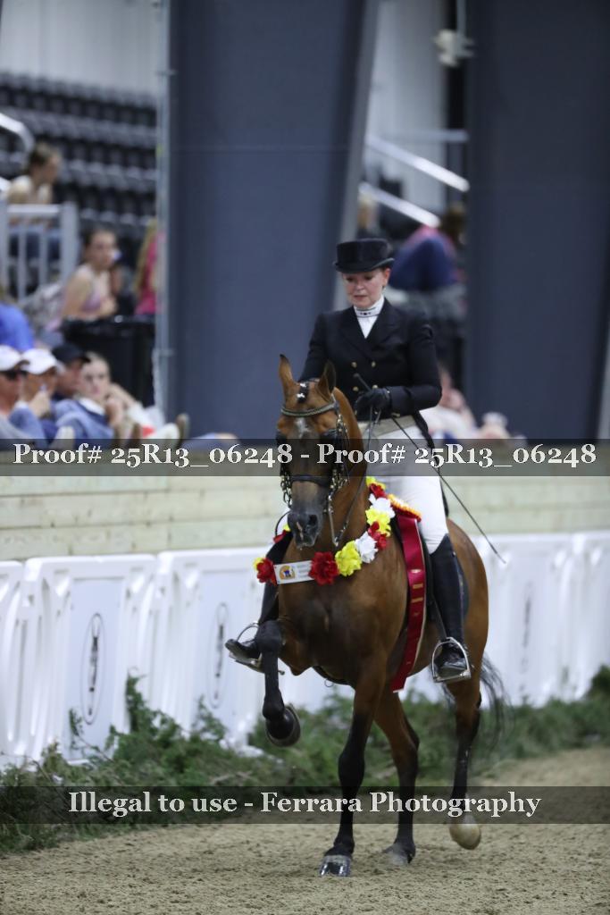 Proof 25R13_06248