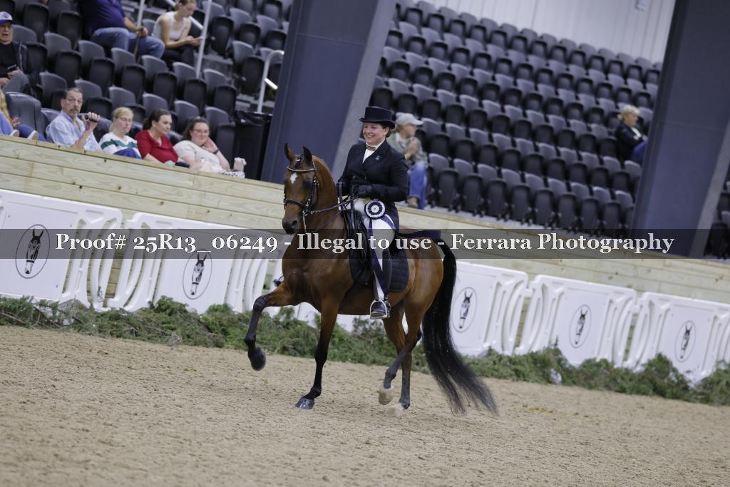 Proof 25R13_06249