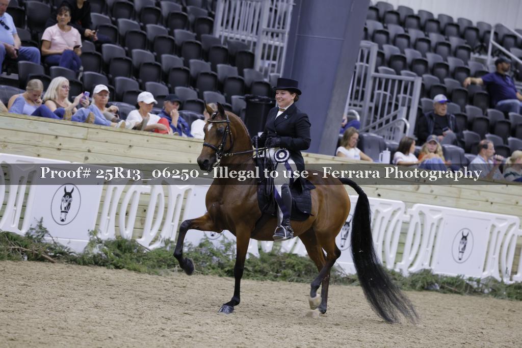 Proof 25R13_06250