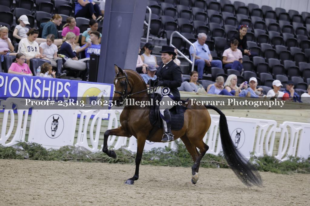 Proof 25R13_06251