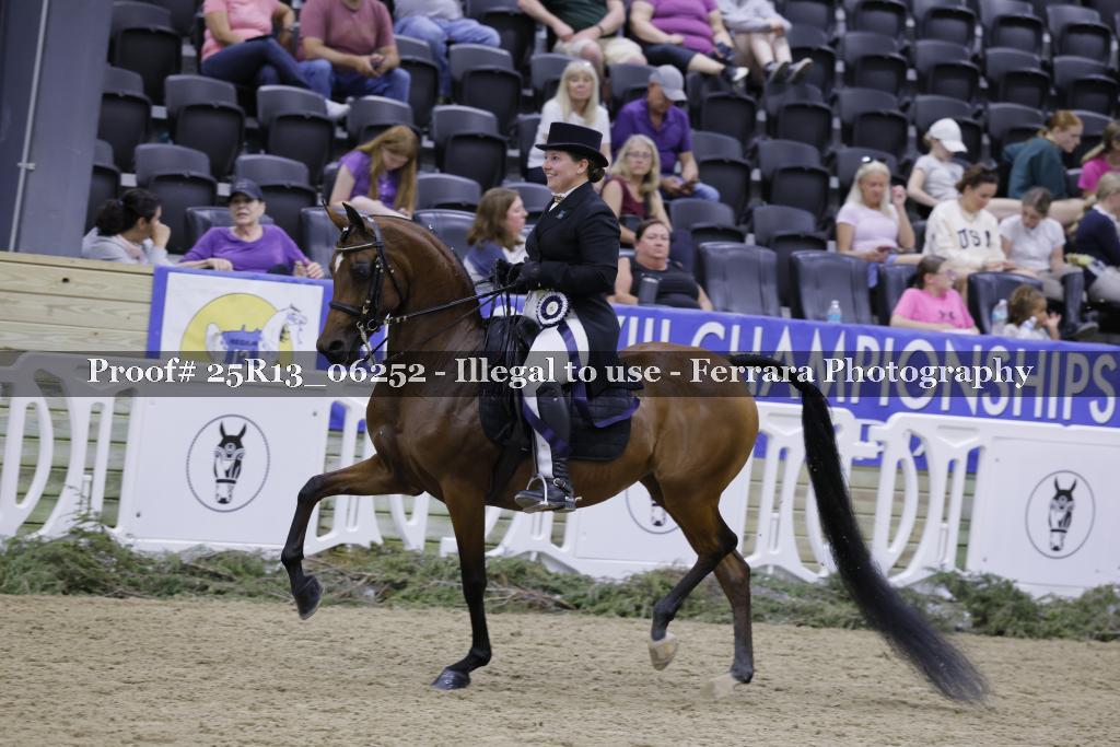 Proof 25R13_06252