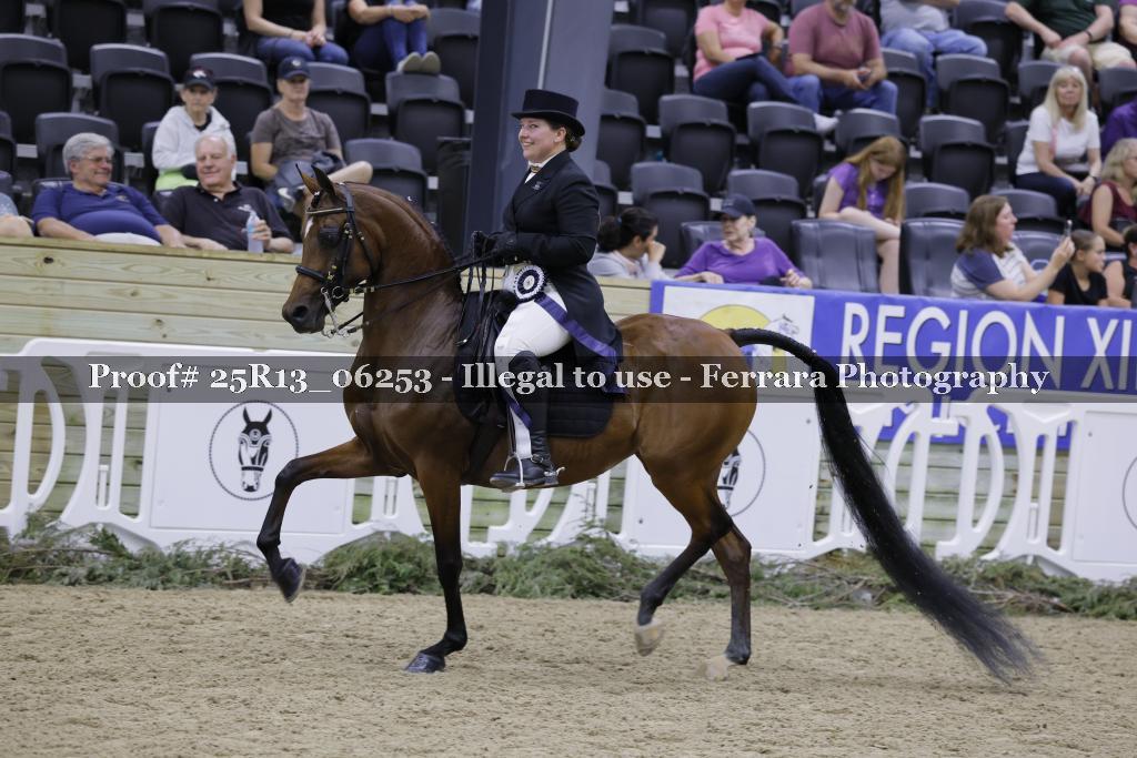 Proof 25R13_06253