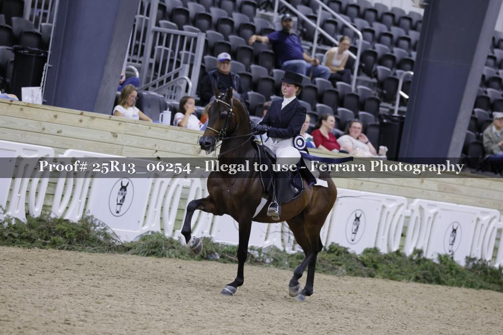 Proof 25R13_06254