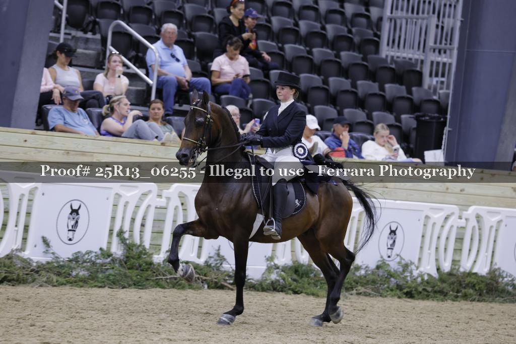 Proof 25R13_06255