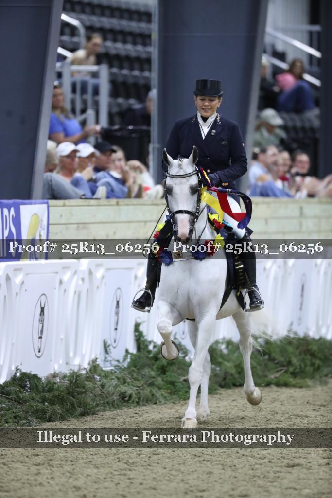 Proof 25R13_06256