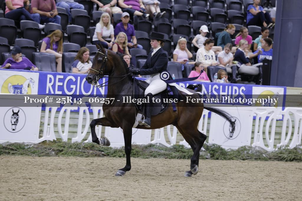 Proof 25R13_06257