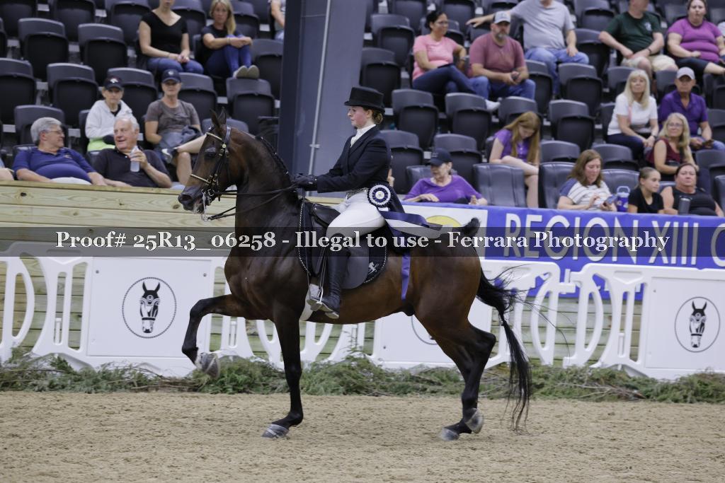 Proof 25R13_06258