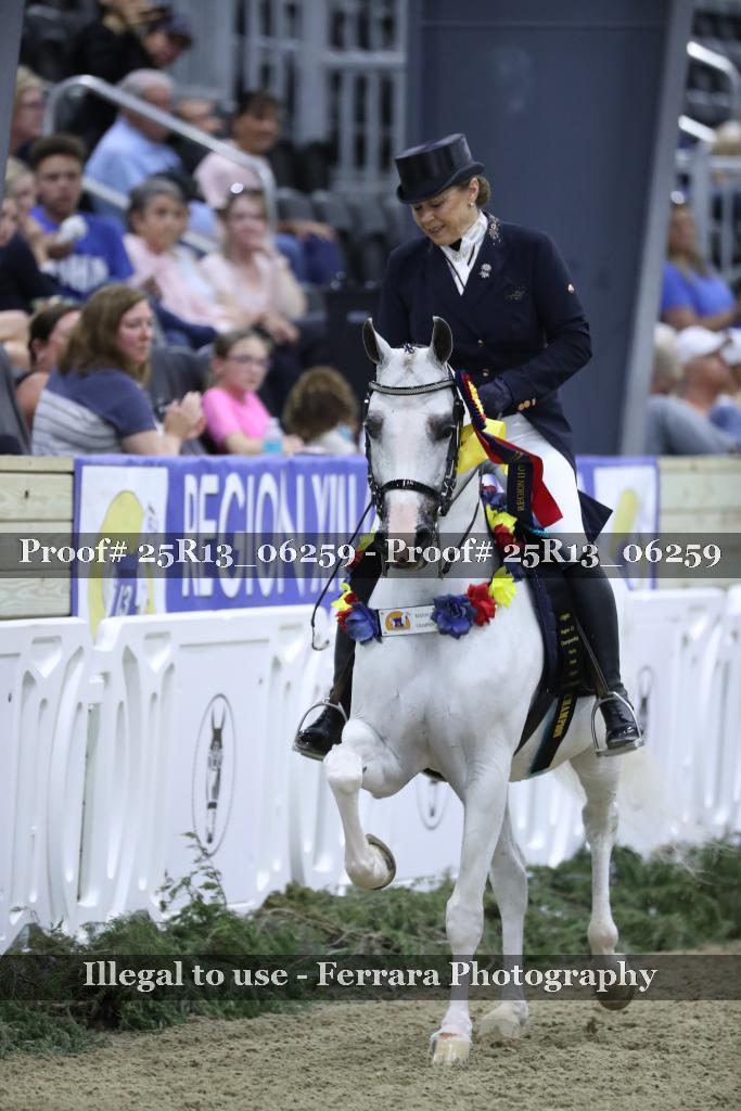 Proof 25R13_06259